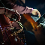 Strings-rob-simmons-lWHP55X-biA-unsplash.jpg