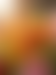 What Sets Cook's Florist & Flower Delivery From The Other Florists