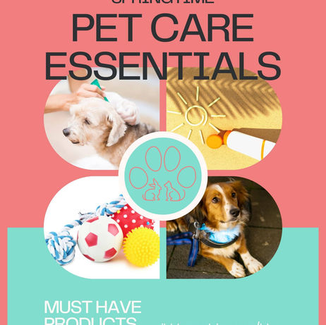 Springtime Pet Care Essentials: Must-Have Products and Supplies