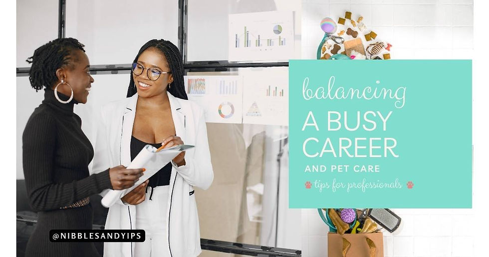 Two professional women talk over a proposal. On the second half of the image there is a spilled bag of pet supplies. The title is Balancing a Busy Career and Pet Care: Tips for Professionals
