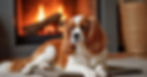 A relaxed King Charles Spaniel lies on a small mat in front of a glowing fireplace. The dog looks calm and content, with soft chestnut-and-white fur illuminated by the warm firelight.