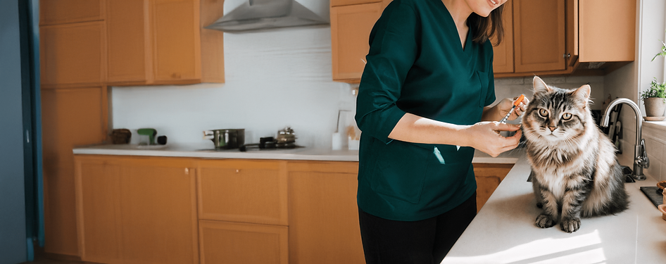 Nibbles & Yips team member administering an insulin injection to a calm long-haired cat during an in-home vet tech visit. Specialty care services including medication administration, injections, and wellness support available in Thornton, Denver, Westminster, Brighton, Broomfield, and nearby areas.