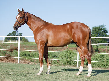 129-AJ Favorite OK.jpg