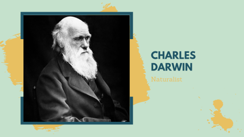 Study Overseas - Study in USA - Study in UK - Study in Hong Kong - Study in Singapore - The Headmaster Consulting - Overseas Education - Higher Education - Education Counseling - Study Abroad - College Consulting Services -Higher Education Consultants - College Admissions Assistance - University Application Help - College Planning Experts - College Selection Guidance - College Admissions Support