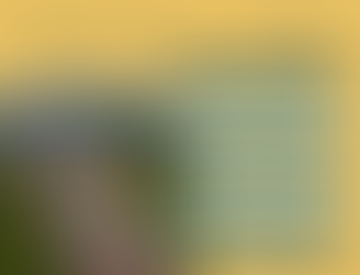 Baylor University: University Insights