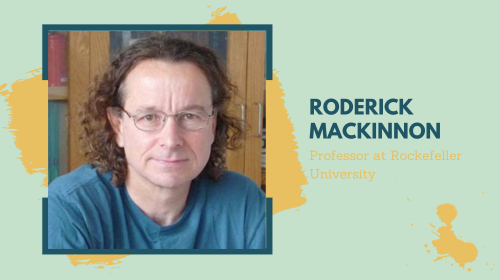 Roderick Mackinnon - Study Overseas - Study in USA - Study in UK - Study in Hong Kong - Study in Singapore - The Headmaster Consulting - Overseas Education - Higher Education - Education Counseling - Study Abroad - College Consulting Services -Higher Education Consultants - College Admissions Assistance - University Application Help - College Planning Experts - College Selection Guidance - College Admissions Support