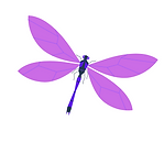 Untitled design.png