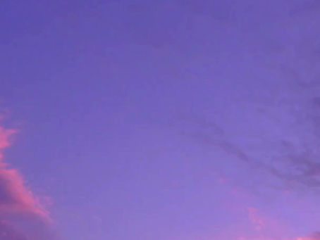 Mary Donahue Interview