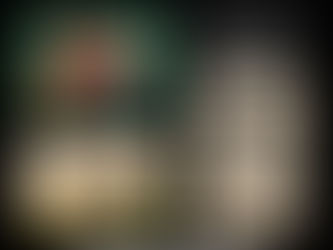 NATIVE AMERICAN HERITAGE MONTH: WEEK OF THE BISON