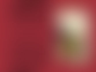 Book Talk in Cheshire, CT