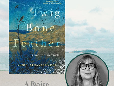 Book Review: "I Am Twig, Feather, Bone"