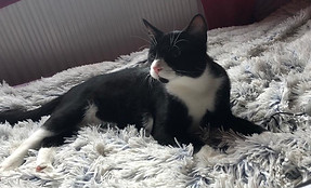 46b7210b-1592-4191-a40f-6b124d15a378.jpe