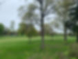 IMG_9958.jpeg