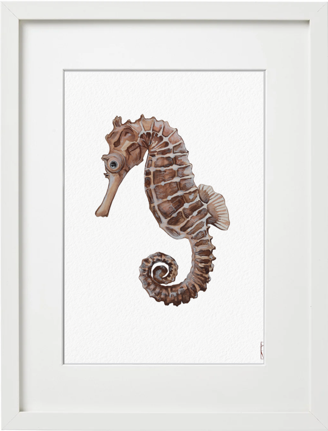 Sirocco the Seahorse