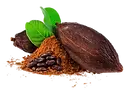 Cacao criollo_laboratoire-AVIE