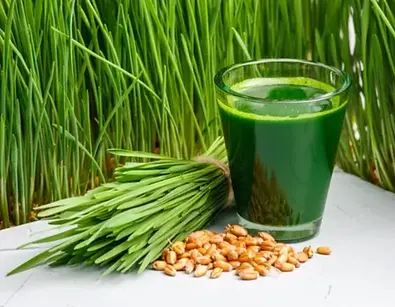 jus herbe ble.webp