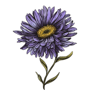 fleur 2 (1).png