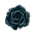 fleur (1).png