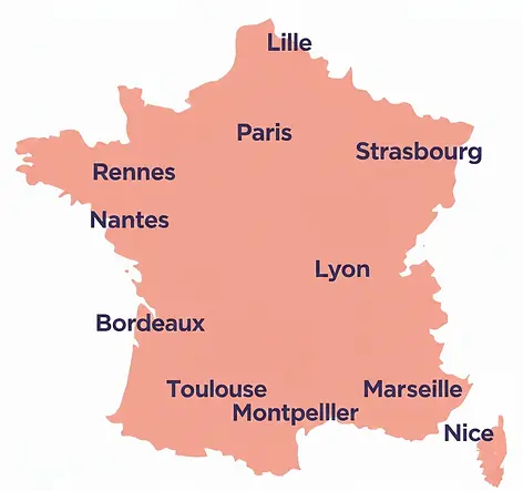 Distribution journaux municipaux en France