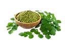 Moringa
