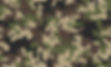 AdobeStock_477356251 (1).jpeg