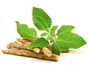Ashwaganda laboratoire-AVIE