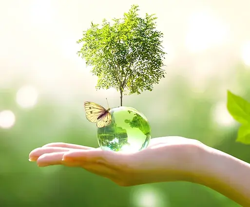 ecologie