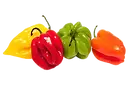 Le Piment
