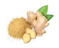 Gingembre