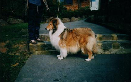 Derloch Dee Lectable "libby"