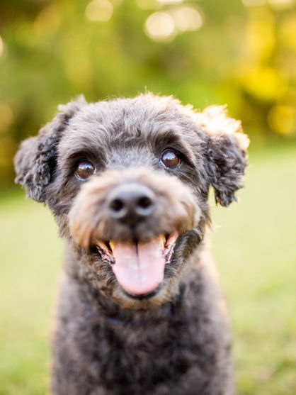 Jack & Bella-824.jpg