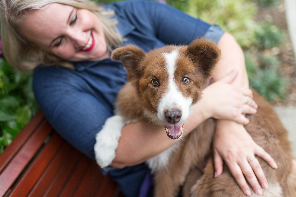border collie and her owner during a new farm park pet photography session