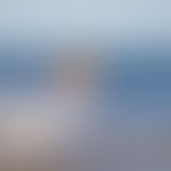 The best location for your pet photography session when you have an active dog