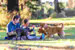 A Brisbane country-style photoshoot for families and pets
