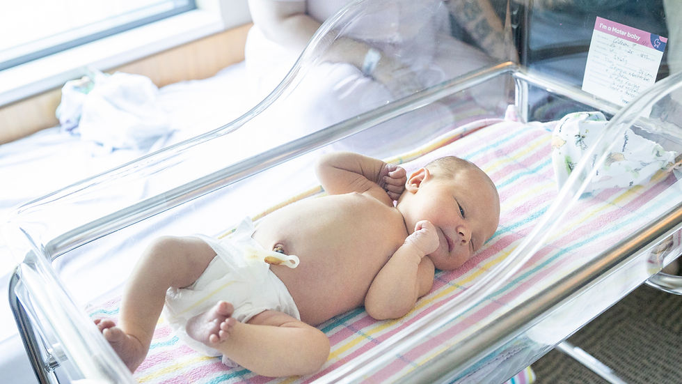 Hospital newborn photography in Brisbane showing a baby settled in a bassinet during a Fresh 48 session at the maternity ward