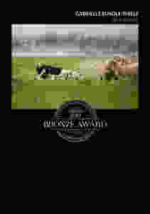 Tails of Time's Bronze award image // award winning pet photography