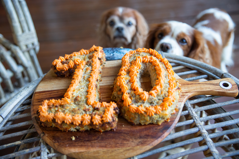 Meatloaf Dog Birthday Cake Recipe | Kokoda's 10th Birthday! 