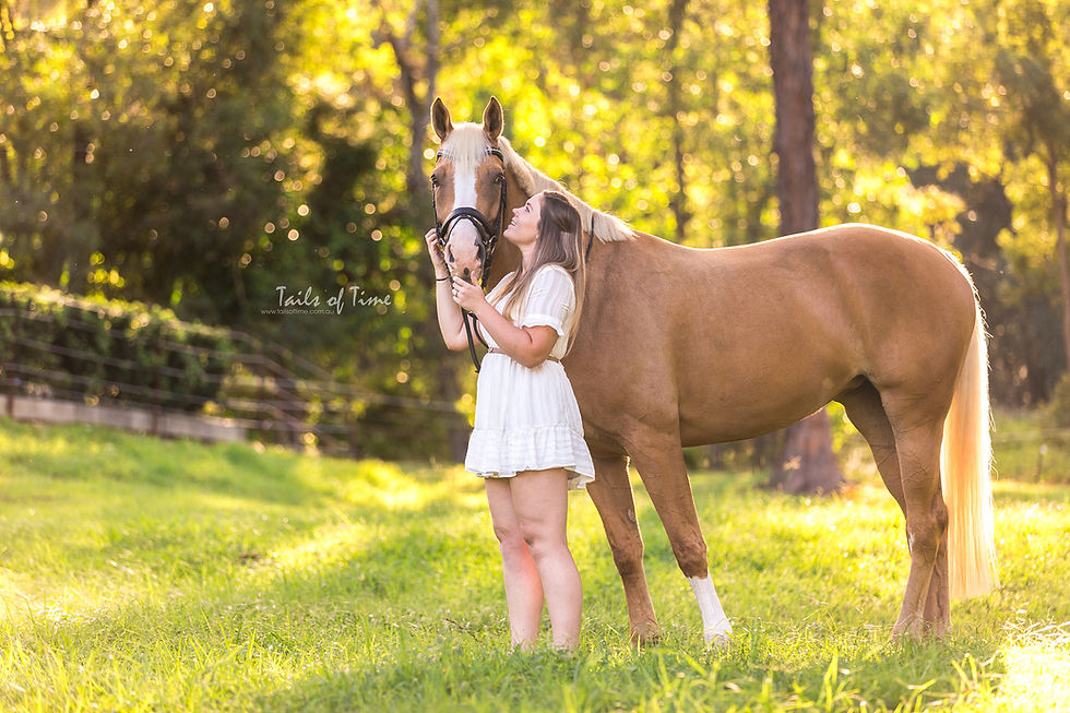 brisbane equine photographer