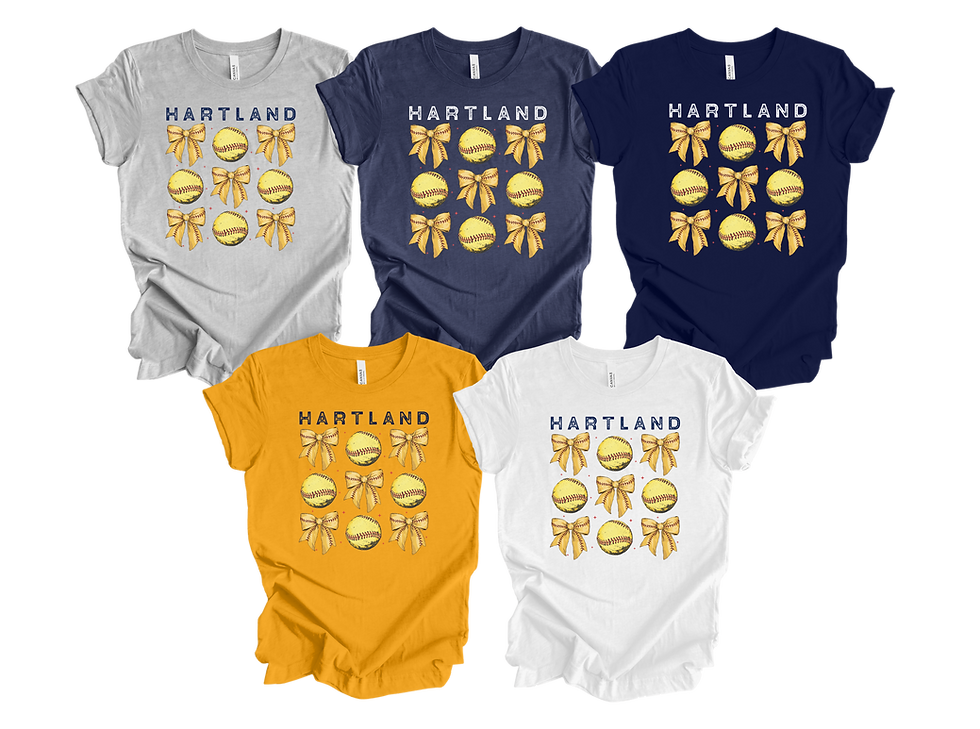 HAYAA Softball Design 2