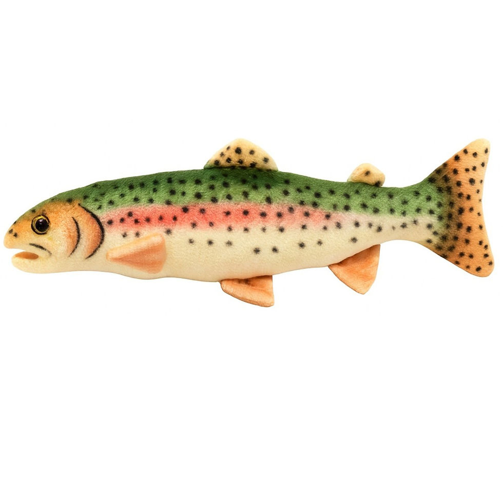 Realistic rainbow trout plush dog toy with green, pink, and cream coloring and built-in squeaker