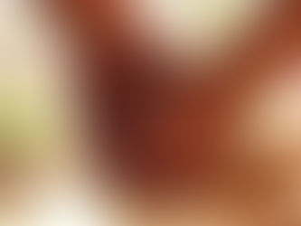 Mensaje Animal: aliados y sombras