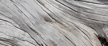 AdobeStock_69716060.jpeg