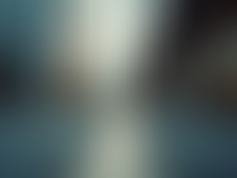 The Role of Site Assessors in Evaluations