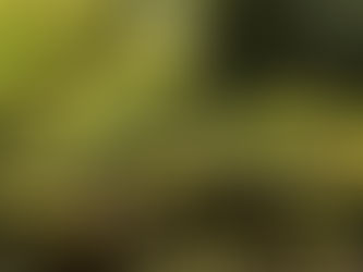 やりたい仕事は過去とつながっています