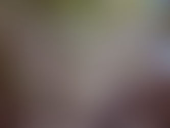 【心変わり】について