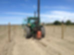 Vineyard Development
