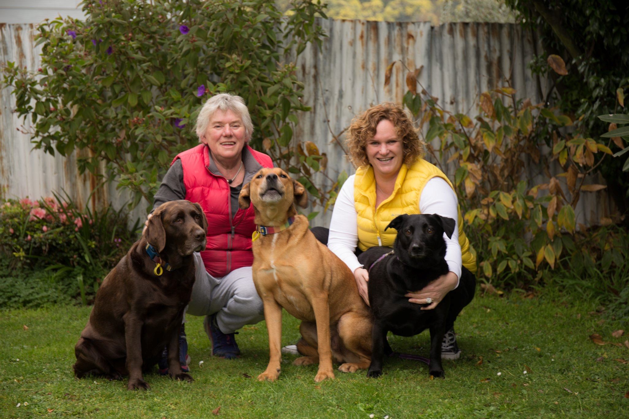 raw diet dog food delivery