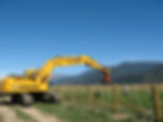 Vineyard Development