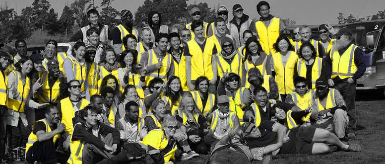vineyard contractors blenheim