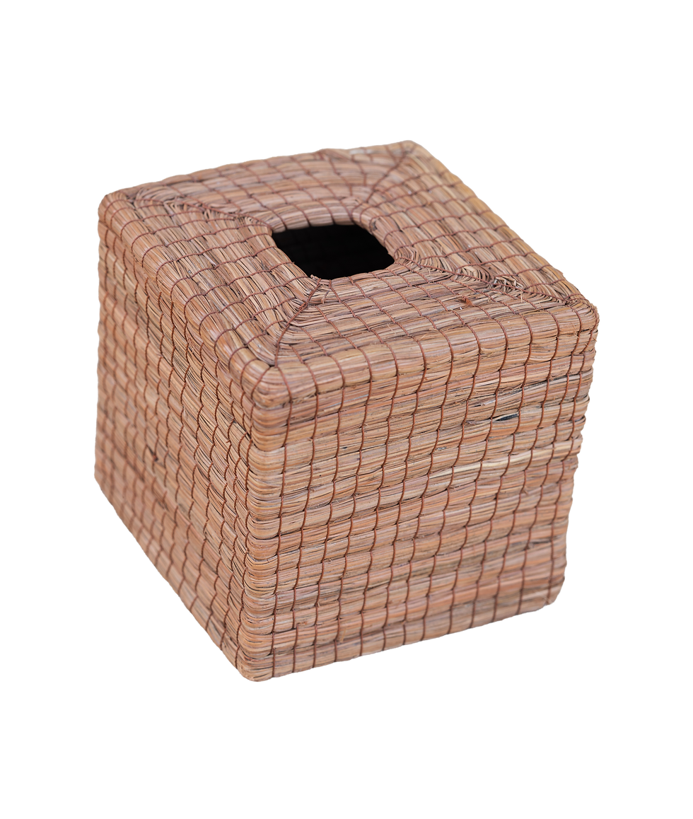 DSC05718.png